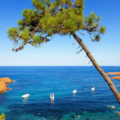 Simpson Travel acquires South France Villas